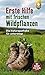 Erste Hilfe mit frischen Wi...