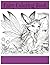 Fairy Coloring Book