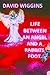 Life Between an Angel and a...