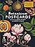 Botanicum Postcard Box Set by Kathy Willis