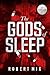 The Gods of Sleep by Robert Mix
