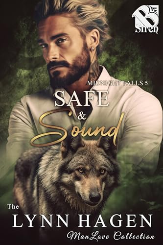 Safe & Sound (Midnight Falls #5)