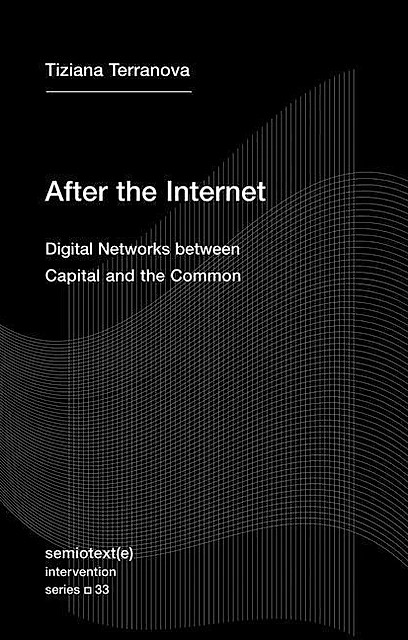 After the Internet: Digital Networks between Capital and the Common (Semiotext(e) / Intervention Series)