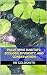 Palustrine Habitats by HB Goldsmith
