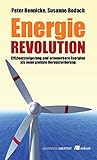 Energierevolution: Effizienzsteigerung und erneuerbare Energien als neue globale Herausforderung (German Edition)