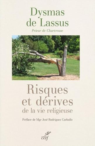 RISQUES ET DERIVES DE LA VIE RELIGIEUSE (French Edition)
