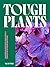 Tough Plants: Garden gladia...