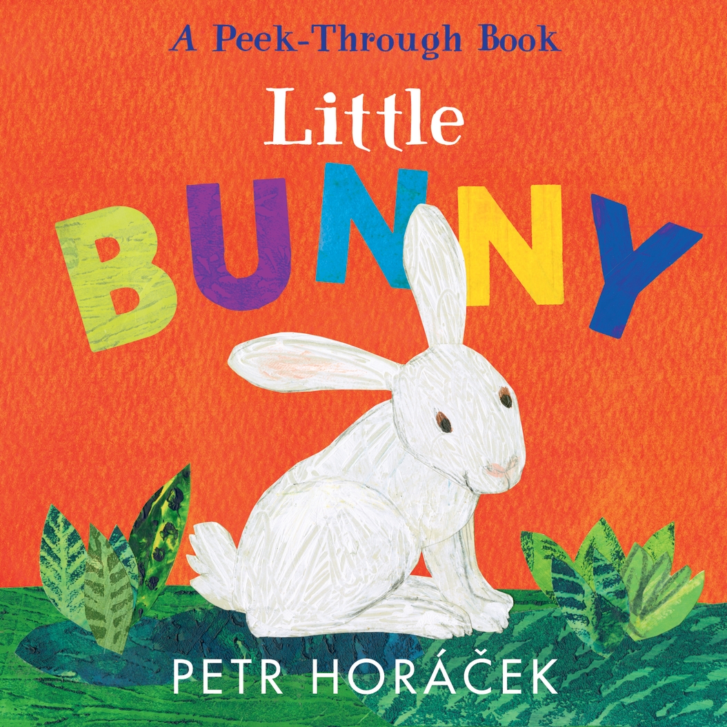 Little Bunny (Board Book)