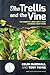 The Trellis and the Vine: The ministry mind-shift that changes everything
