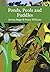 Ponds, Pools and Puddles by Penny Williams