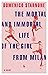 The Mortal and Immortal Life of the Girl from Milan by Domenico Starnone The Mortal and Immortal Life of the Girl from Milan by Domenico Starnone