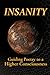 Insanity: Guiding Poetry to...
