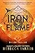Iron Flame. Żelazny płomień (Empireum, #2)