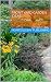 Front Yard Garden Ideas