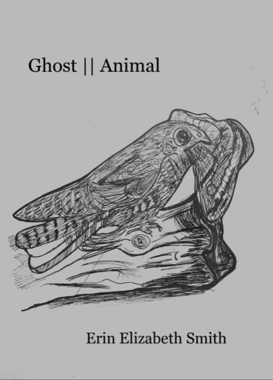 Ghost || Animal (Paperback)