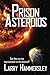 Prison Asteroids