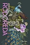 Rozbite lustro
