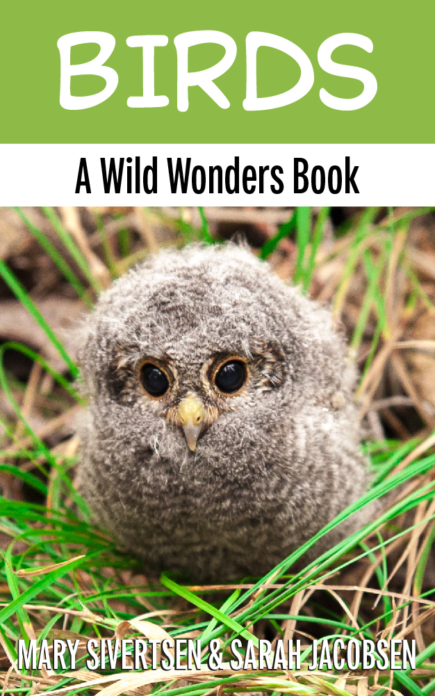Birds: An introduction to why birds do what they do (Wild Wonders Animal Education)