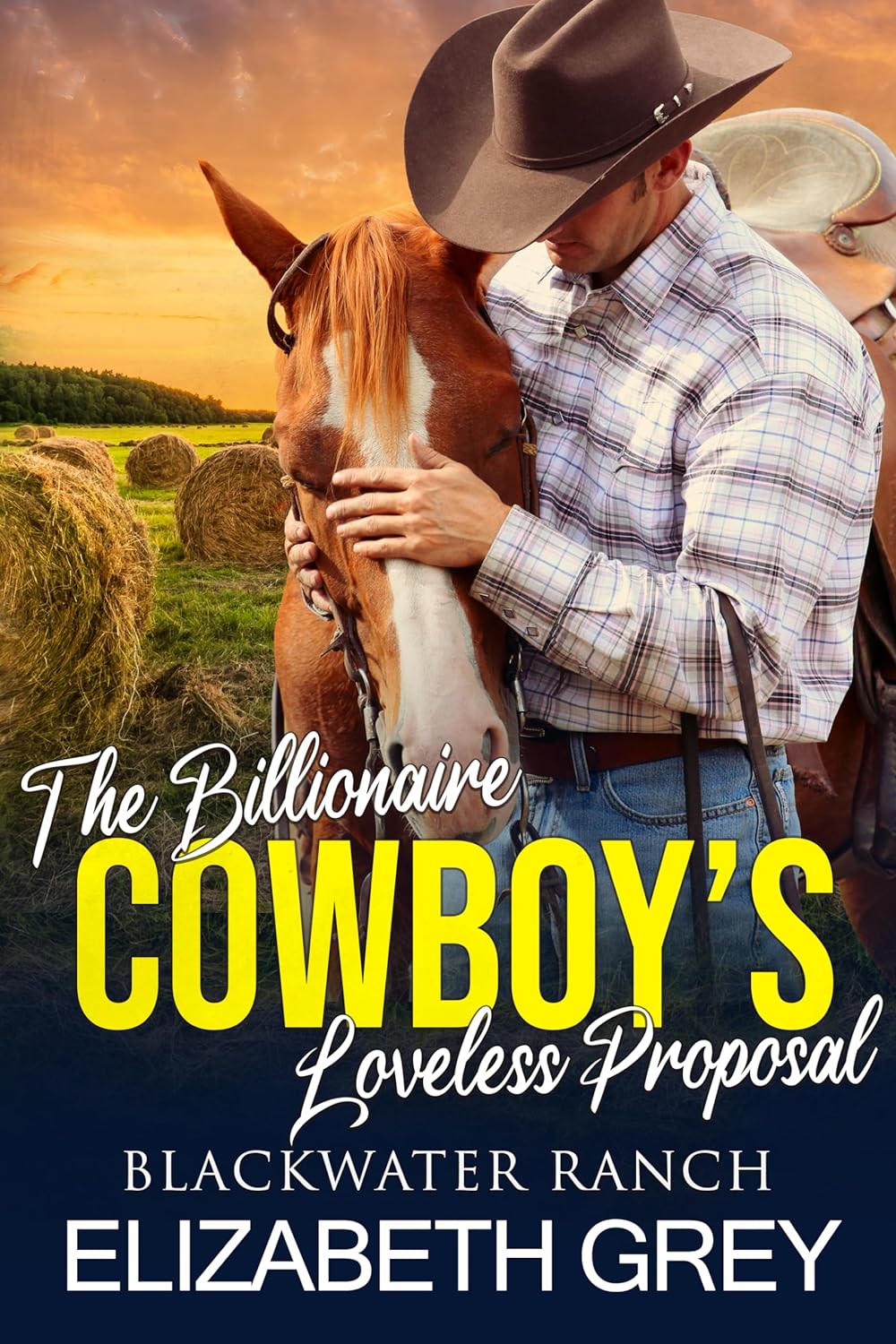Loveless Proposal (Blackwater Ranch)