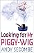 Looking For Mr Piggy-Wig by Andy Secombe