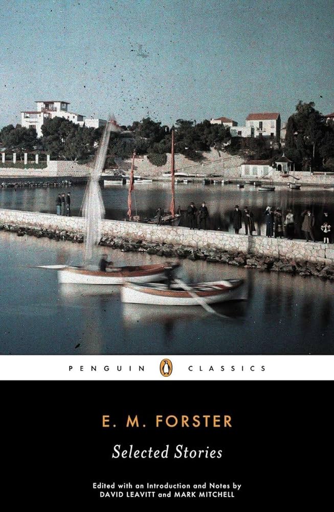 Selected Stories (Paperback)
