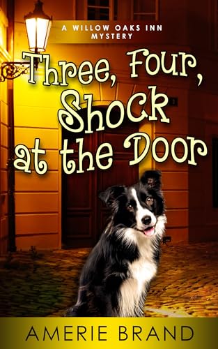 Three, Four, Shock at the Door (Willow Oaks Inn #3)