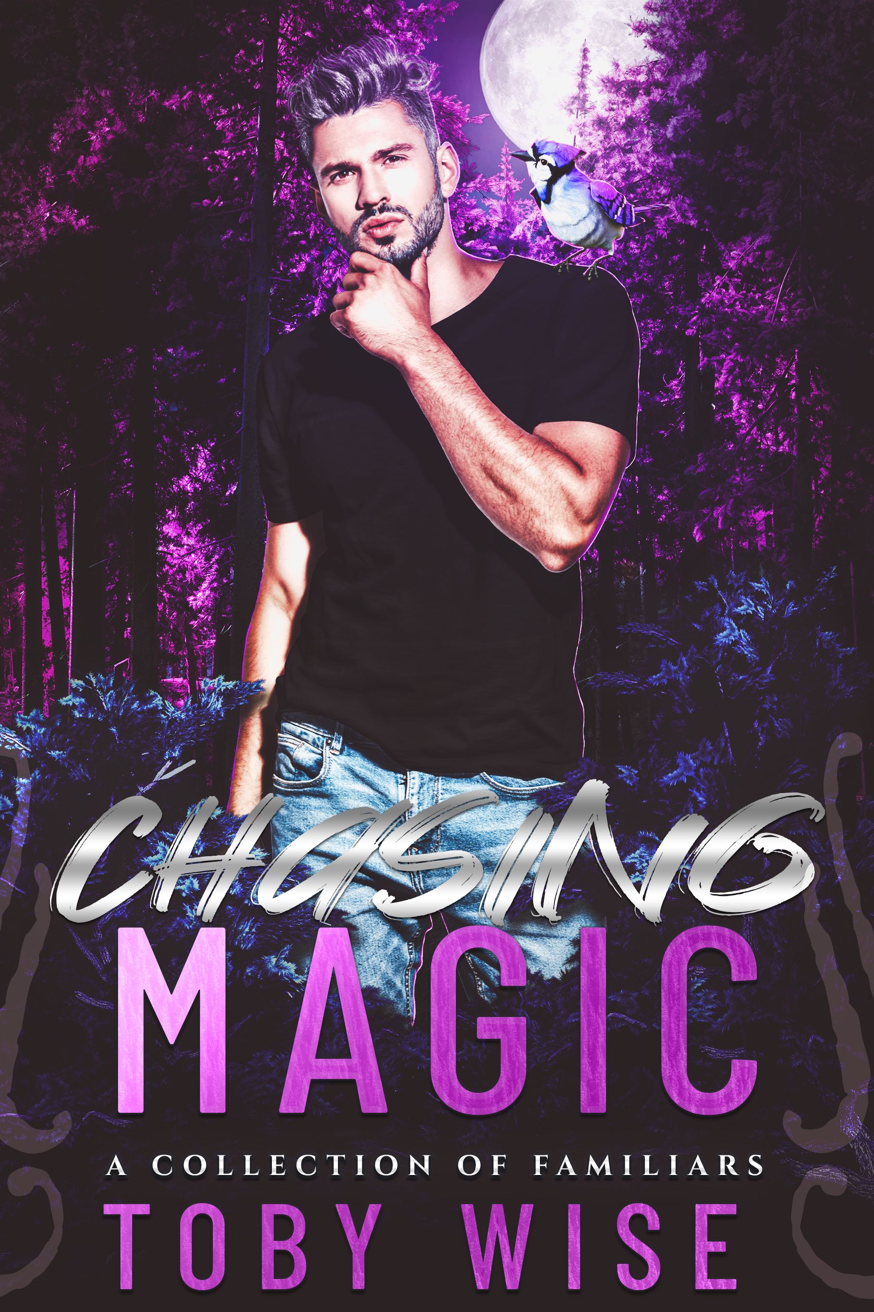 Chasing Magic (A Collection of Familiars #1)