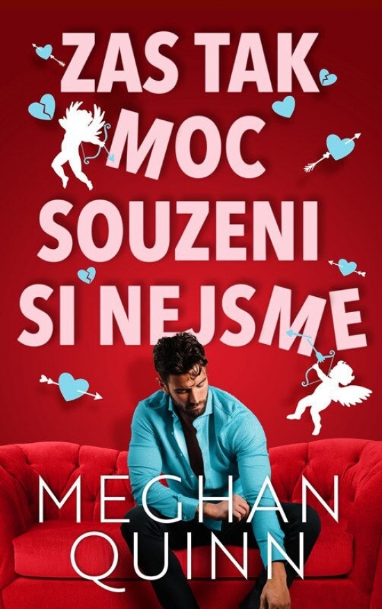 Zas tak moc souzeni si nejsme (Cane Brothers, #2)