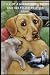 Tale Of A Golden Retriever ...