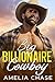 Big Billionaire Cowboy by Amelia Chase