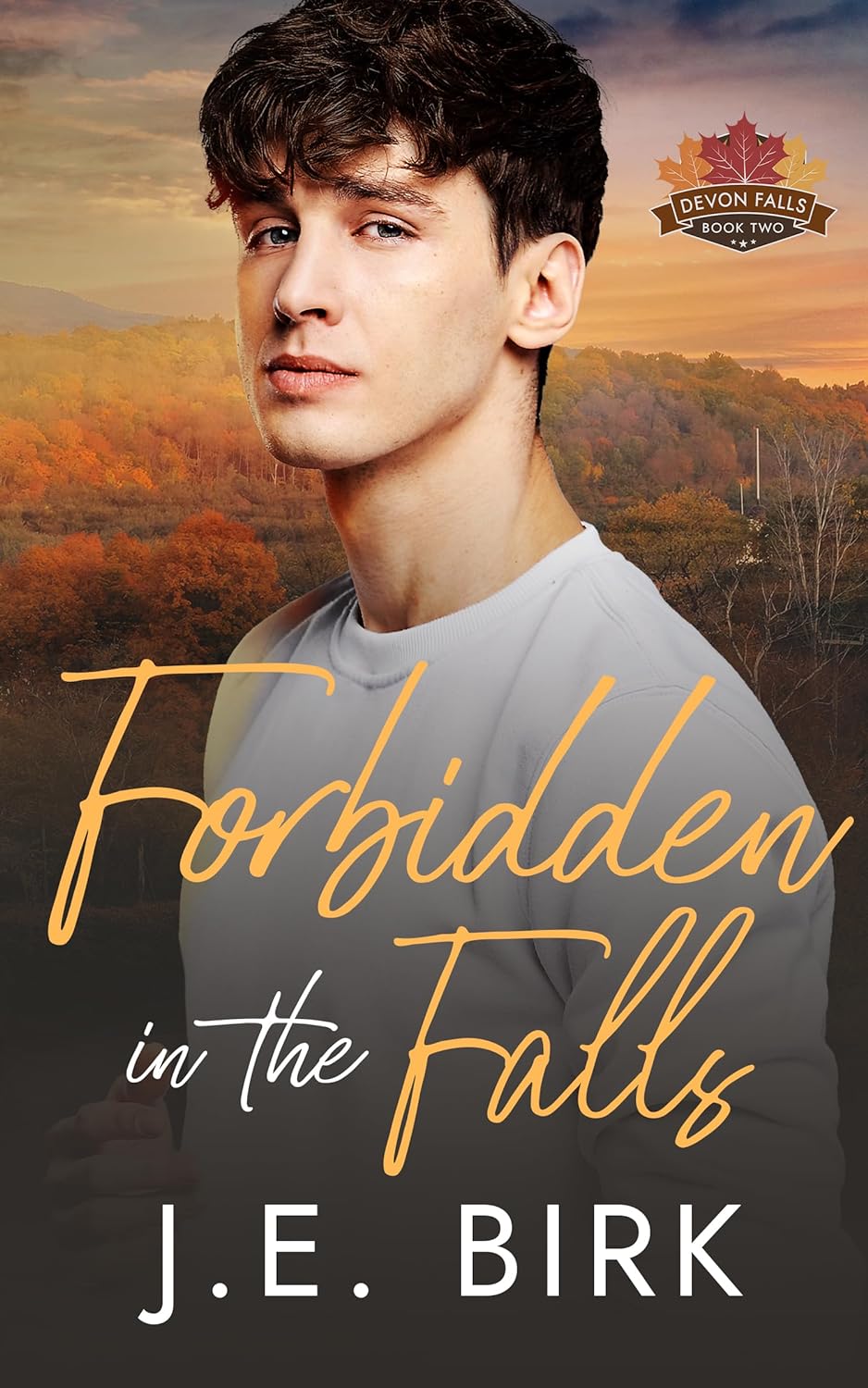 Forbidden in the Falls (Devon Falls #2)