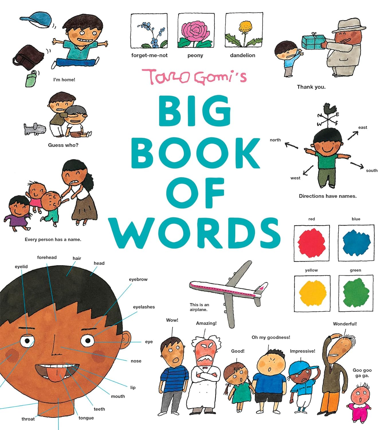 Taro Gomi's Big Book of Words (Hardcover)