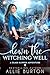 Down the Witching Well: A Glass Slipper Adventure Book 8