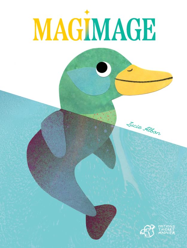Magimage (Hardcover)