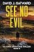 See No Evil (DCI Harry Grimm, #17)