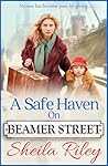 A Safe Haven on Beamer Street by Sheila Riley