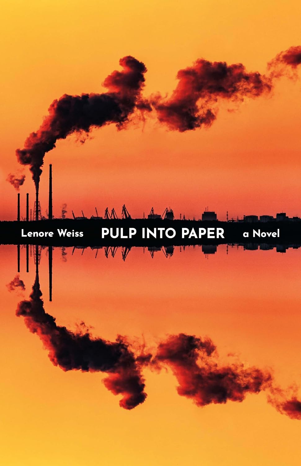 Pulp into Paper (Paperback)
