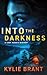 Into the Darkness (Cady Mad...