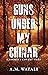 Guns Under My Chinar by A.M. Watali