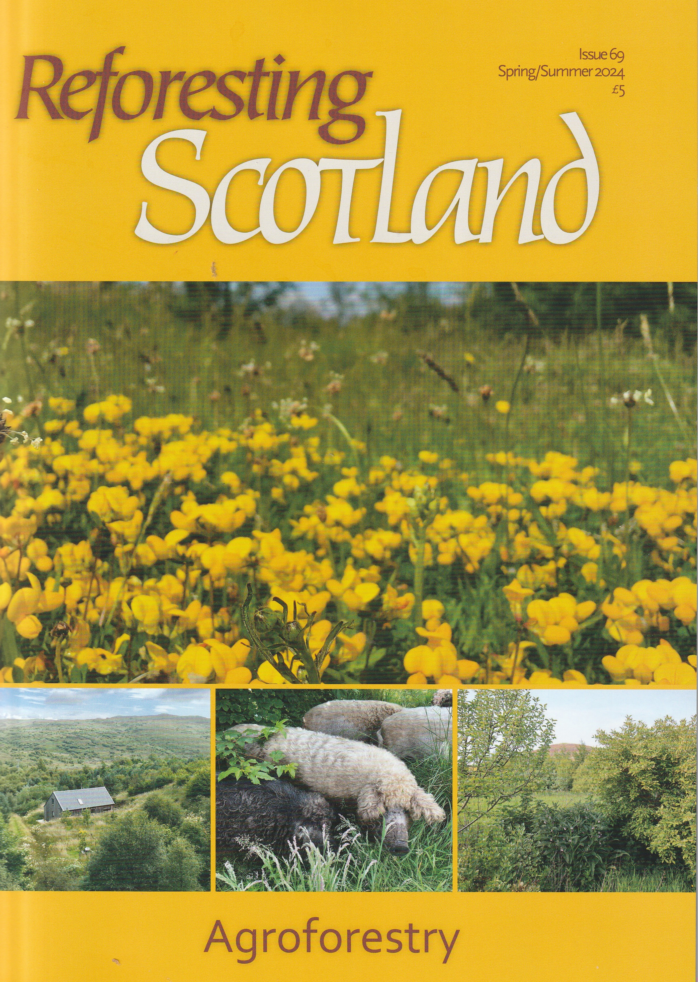 Reforesting Scotland 69, Spring/Summer 2024: Agroforestry (Paperback)