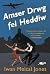 Amser Drwg Fel Heddiw