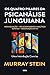 Os quatro pilares da psicanálise junguiana by Murray Stein