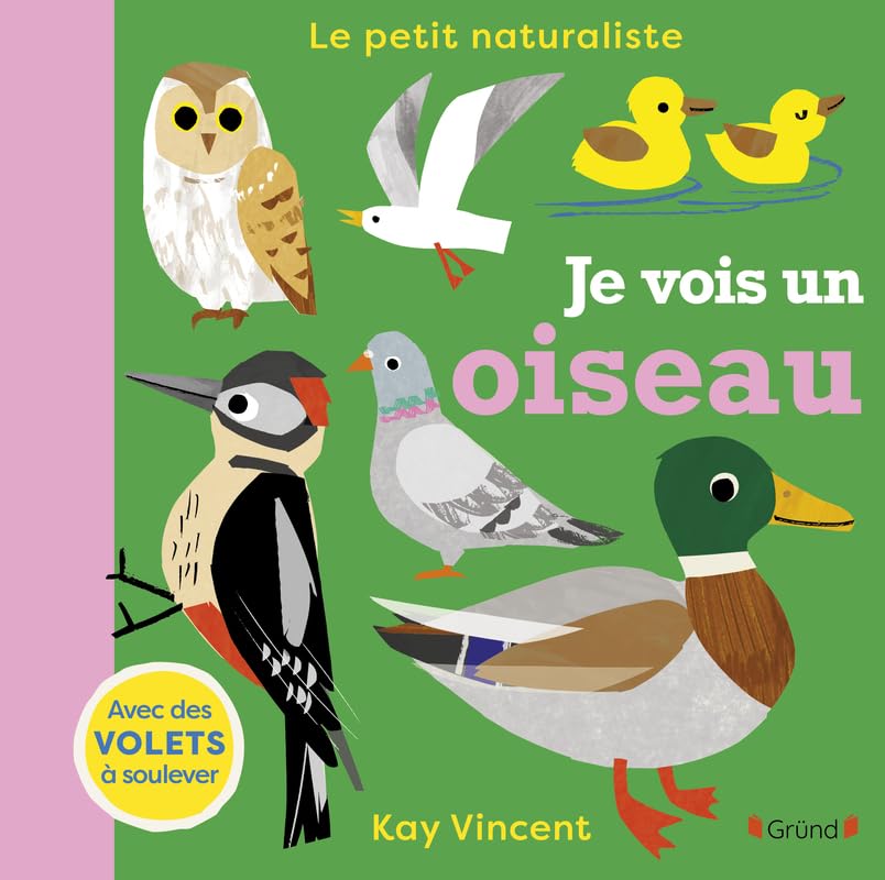 Je vois un oiseau (Board Book)