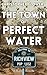 The Town of Perfect Water by Christopher Flowers