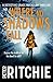 Where No Shadows Fall (Detective Grace Macallan)