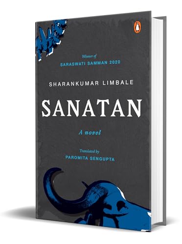 Sanatan: A Novel (Hardcover)
