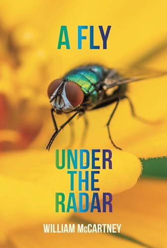 A Fly Under The Radar (Kindle Edition)