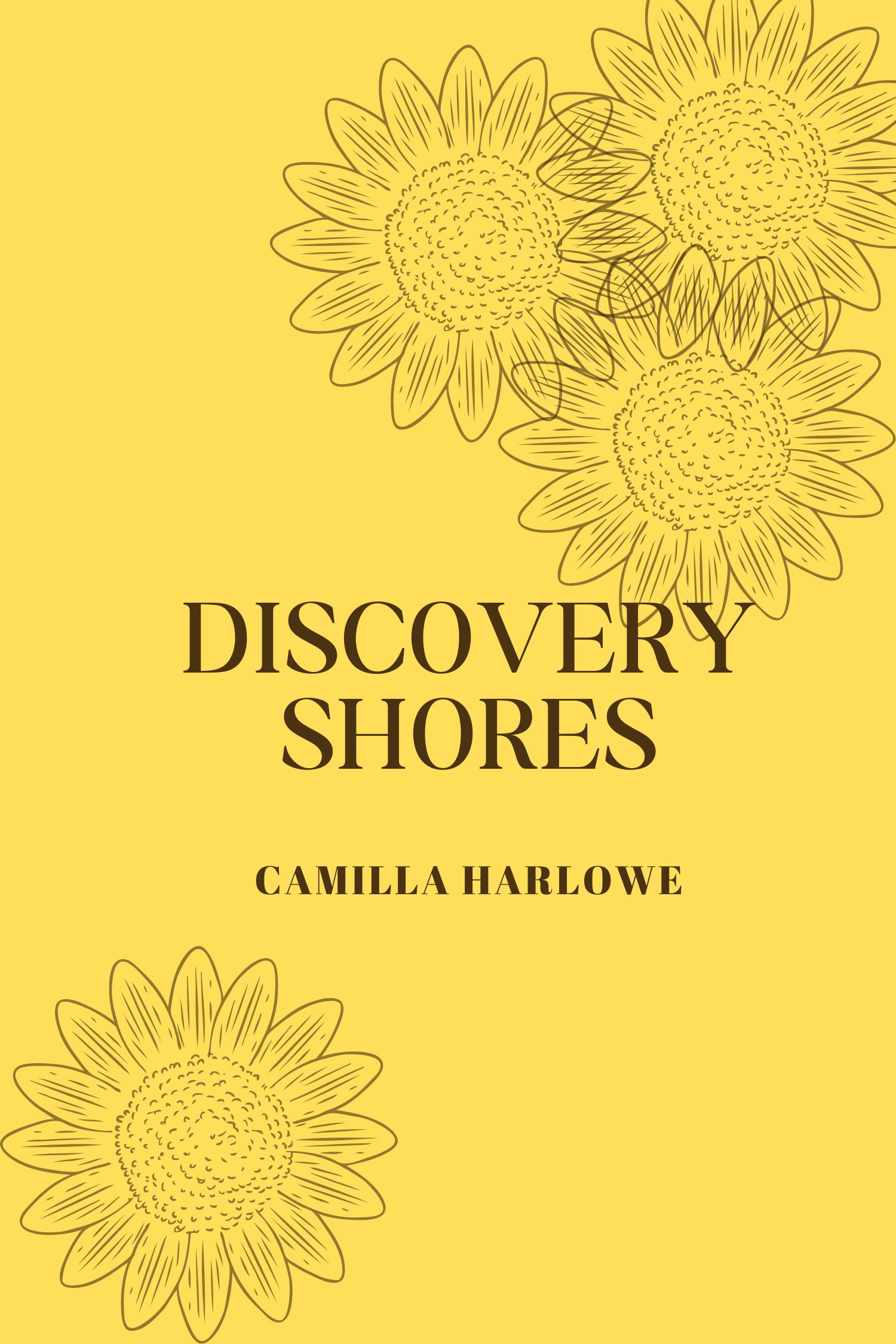 Discovery Shores: A Romance in Paradise