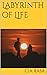 Labyrinth of Life