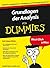 Grundlagen der Analysis für Dummies (German Edition)